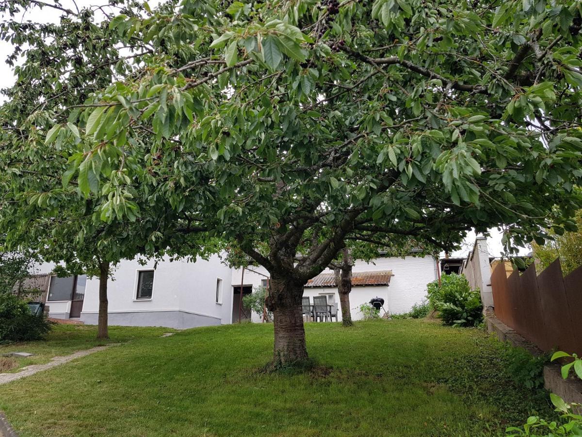 Bruchhausen  Maisonette Im Hof Krupp מראה חיצוני תמונה